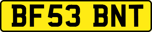 BF53BNT