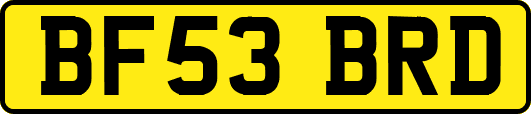 BF53BRD
