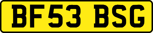 BF53BSG