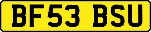 BF53BSU