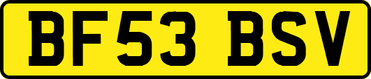 BF53BSV