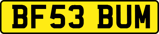 BF53BUM