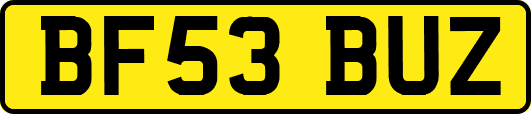 BF53BUZ