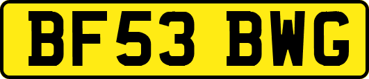 BF53BWG