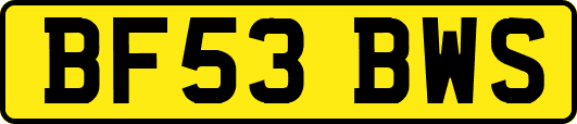 BF53BWS