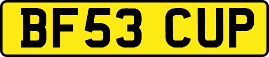 BF53CUP