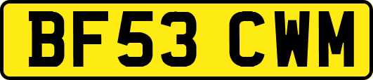 BF53CWM