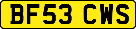 BF53CWS