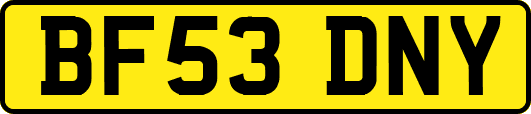 BF53DNY