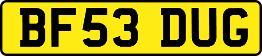 BF53DUG
