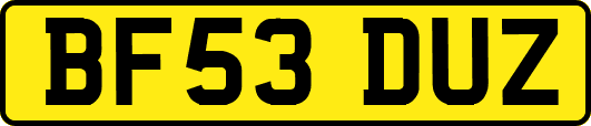 BF53DUZ