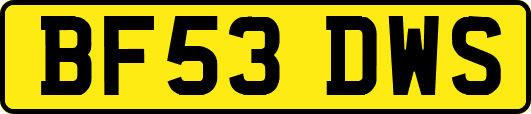 BF53DWS