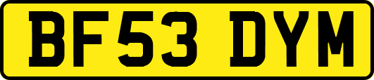 BF53DYM