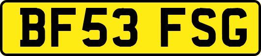 BF53FSG