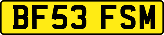 BF53FSM