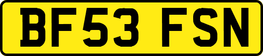 BF53FSN