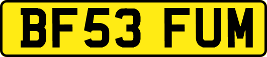 BF53FUM