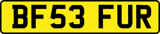 BF53FUR