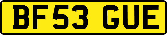 BF53GUE
