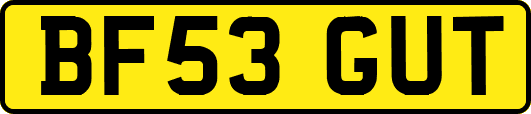 BF53GUT