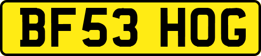BF53HOG