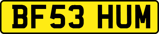 BF53HUM