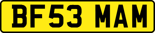 BF53MAM