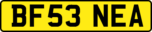 BF53NEA