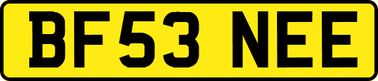 BF53NEE