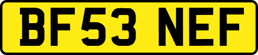 BF53NEF