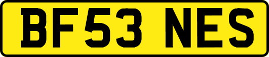 BF53NES