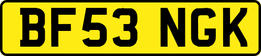 BF53NGK