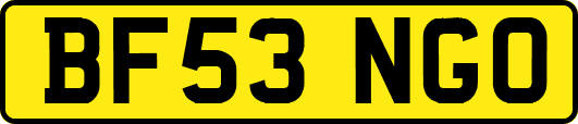 BF53NGO