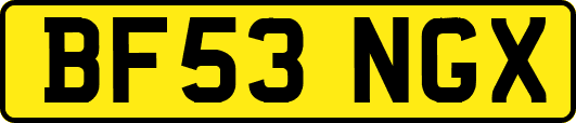 BF53NGX