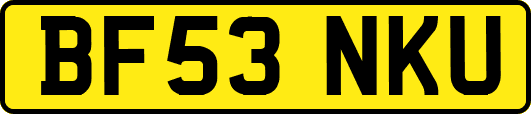 BF53NKU
