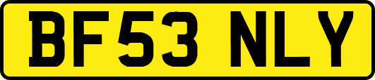 BF53NLY
