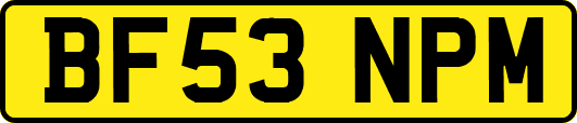 BF53NPM