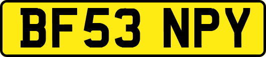 BF53NPY