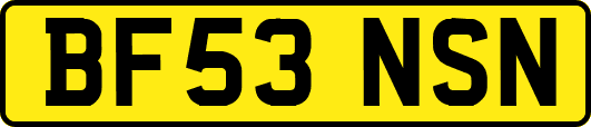 BF53NSN