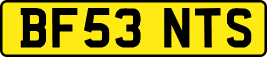 BF53NTS