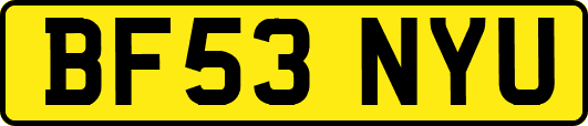 BF53NYU
