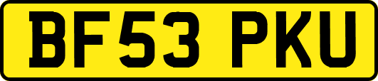 BF53PKU
