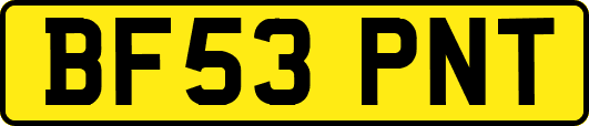 BF53PNT