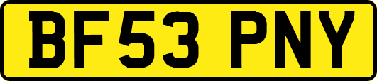 BF53PNY