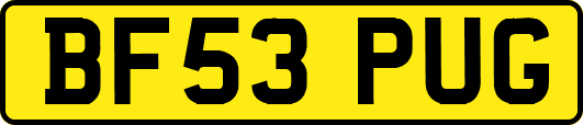 BF53PUG