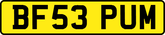 BF53PUM