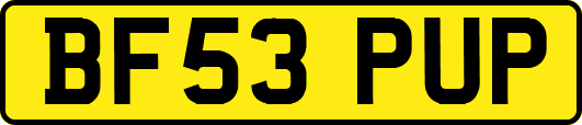 BF53PUP