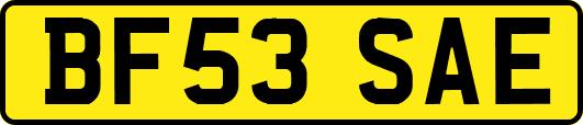 BF53SAE
