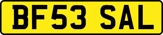 BF53SAL