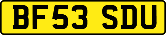 BF53SDU